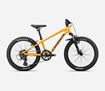 Picture of ORBEA MX 20 XC